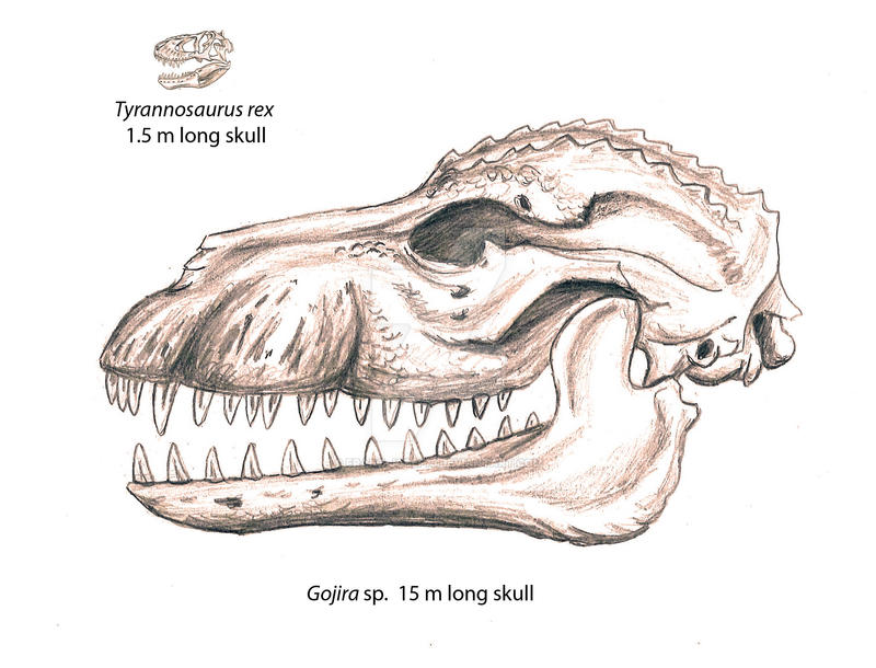 gojira_vs__t__rex_skulls_by_franz_josef73-d6i3e7c.jpg