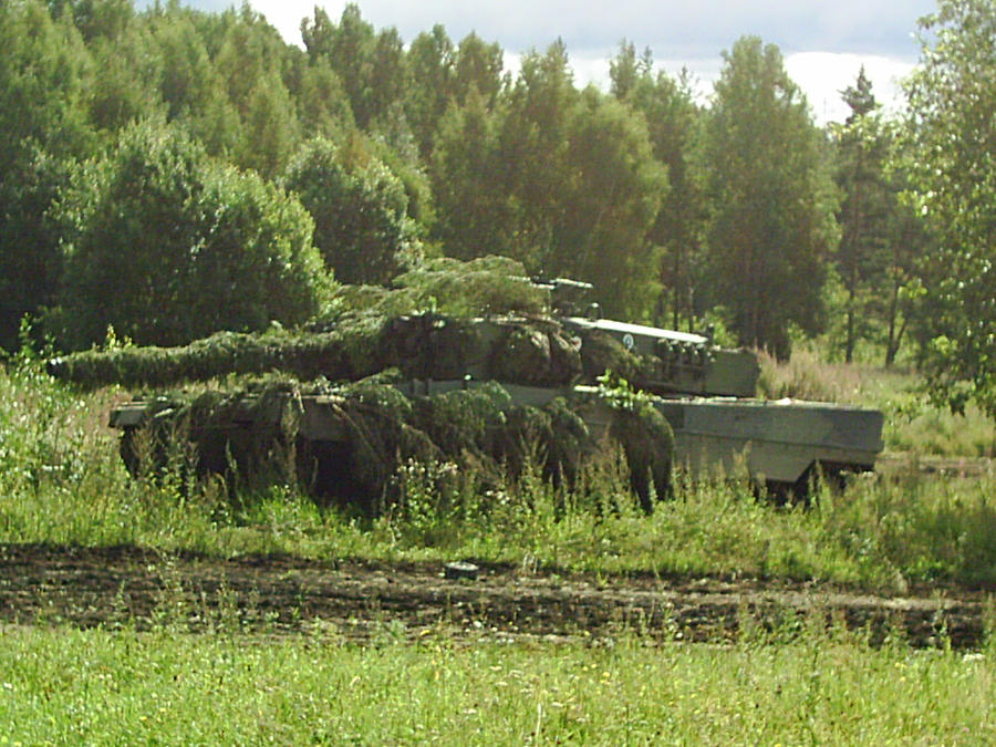 Barrel Camouflage - Passed for Consideration - War Thunder - Official Forum