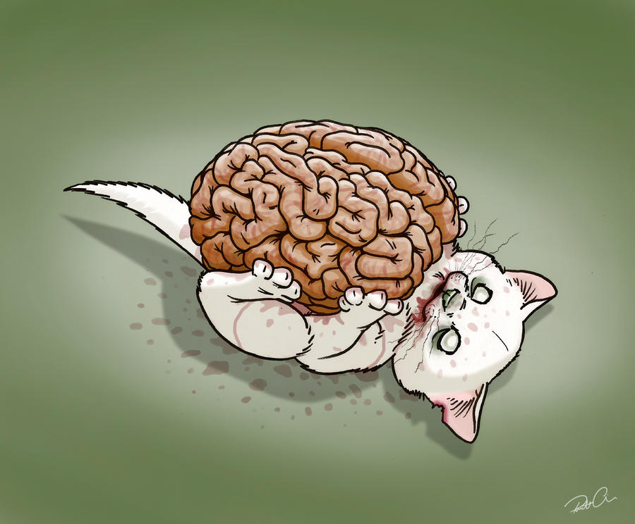 http://img11.deviantart.net/21e3/i/2011/283/6/d/zombie_kitten_loves_brains_by_robthedoodler-d4cdtvi.jpg