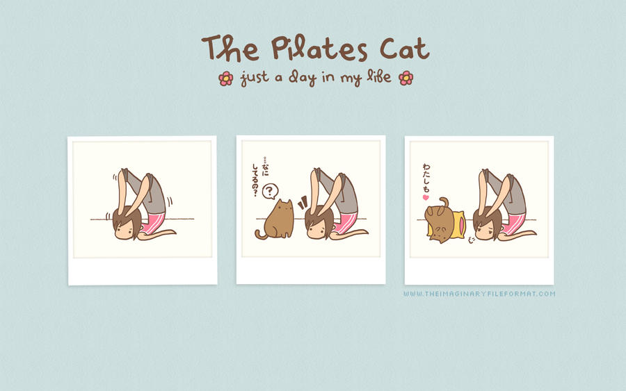 The Pilates Cat Wallpaper 可愛い猫のｐｃデスクトップ壁紙 イラスト 写真 画像 Naver まとめ