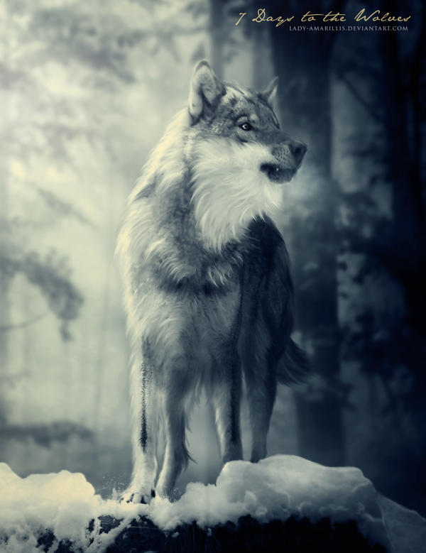 7_days_to_the_wolves_by_lady_amarillis-d34ezkr.jpg