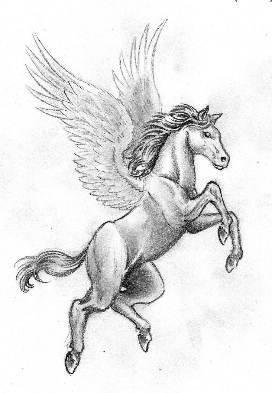 The winged horse by danbrenus on DeviantArt