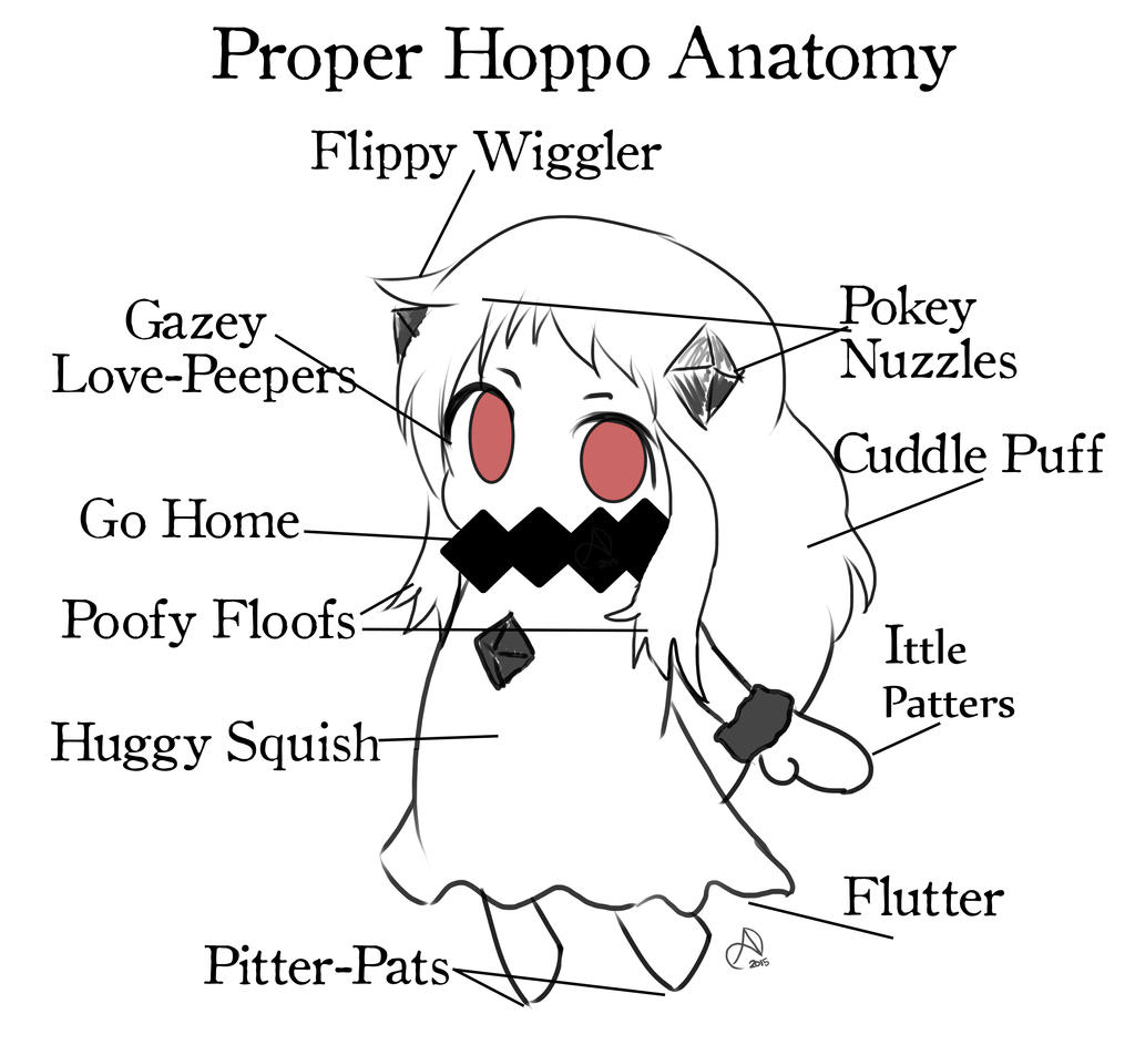 proper_hoppo_anatomy_by_arshnessdreaming