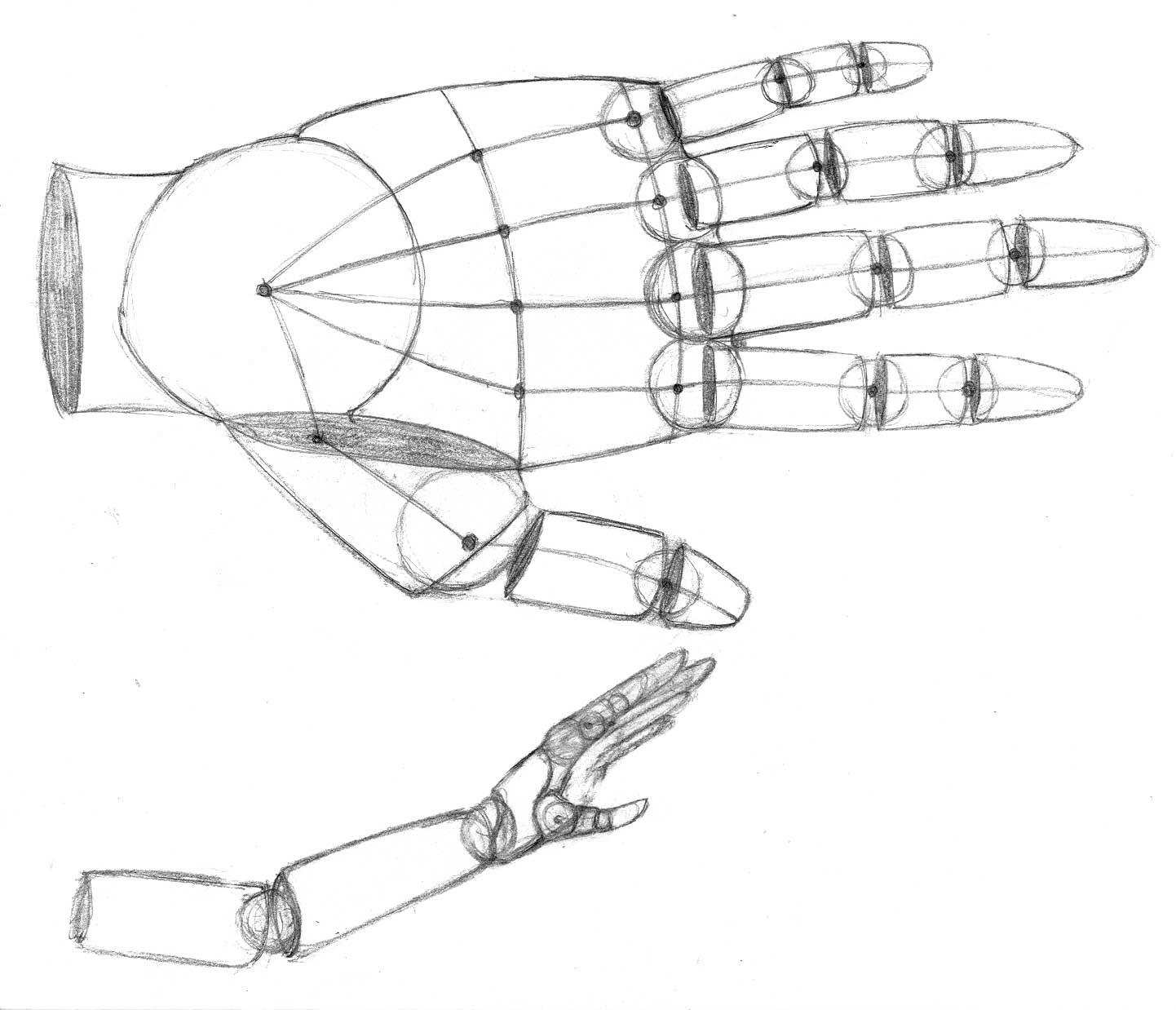 Hand Anatomy Drawing Practice by Age-Solo on DeviantArt