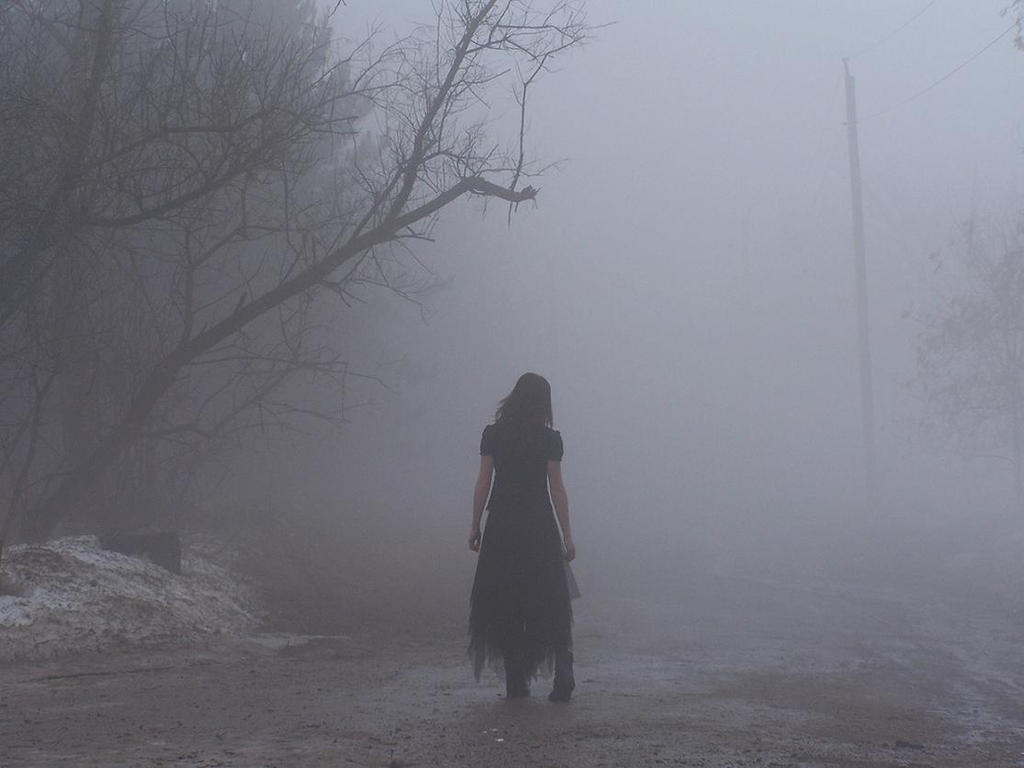 walking_into_the_fog_by_zombie_pip.jpg