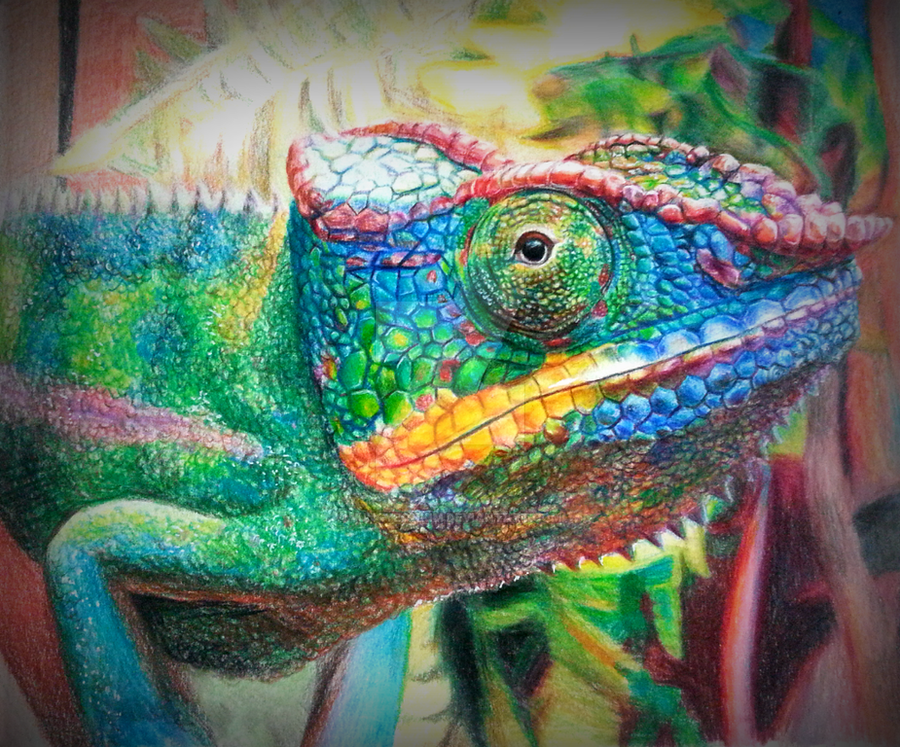 Rainbow Chameleon by JungYeonKim on DeviantArt