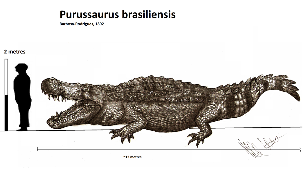 Resultado de imagem para purussaurus brasiliensis