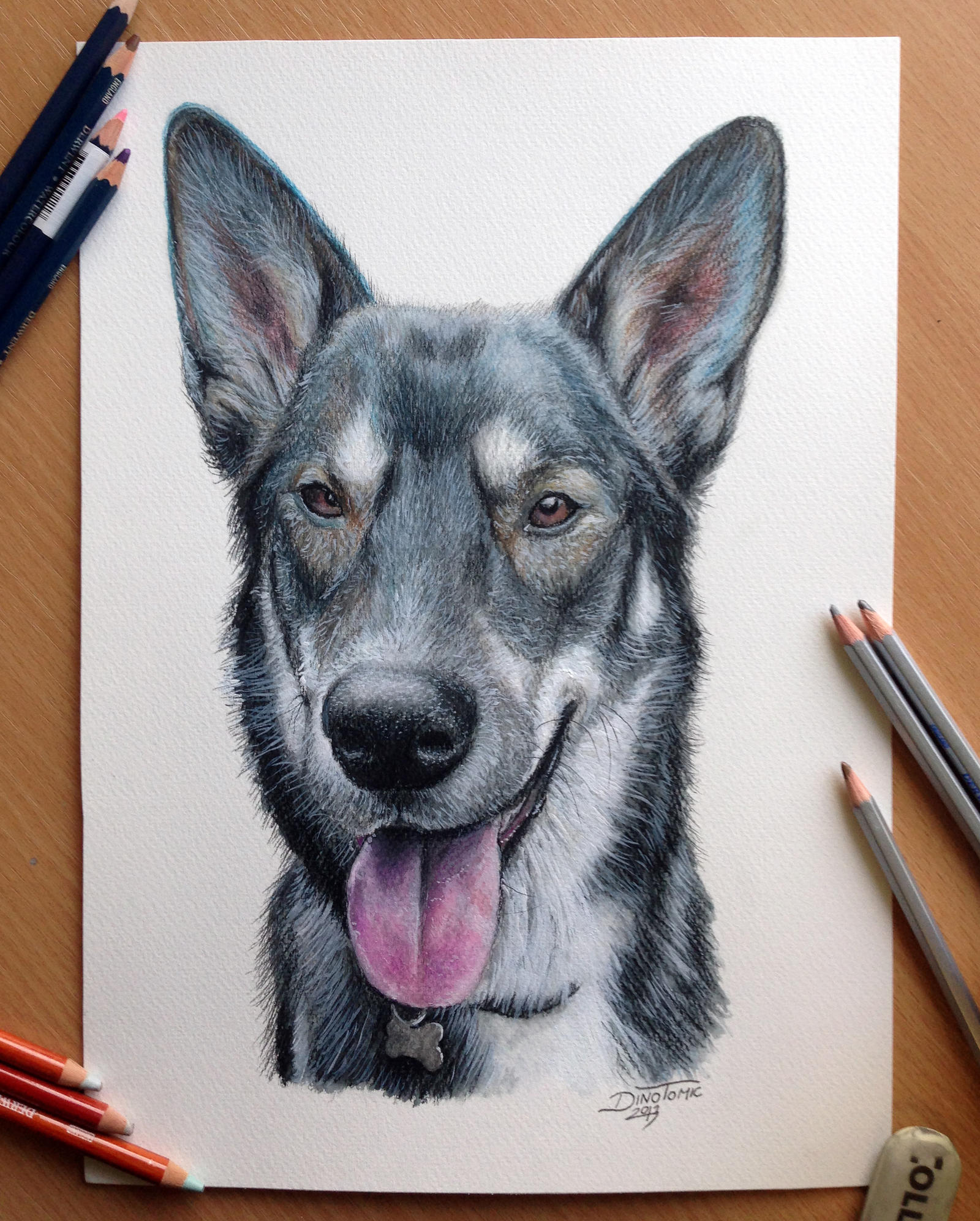 Pencil drawing of a Dog by AtomiccircuS on DeviantArt