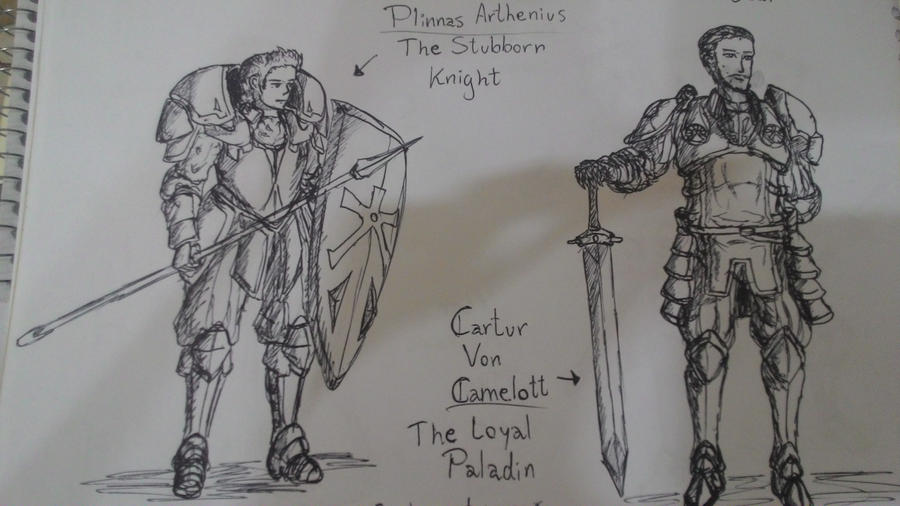 knight_and_paladin_by_velcoll-d9xpgvf.jp