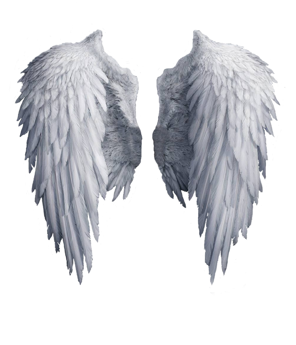 Angel Wings Clip Art Christmas Search Results New