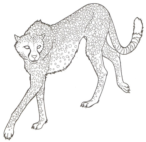 Cheetah Lineart by ReQuay on DeviantArt