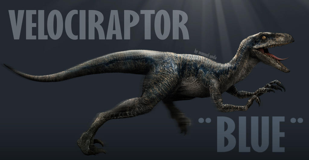 velociraptor_blue_by_manusaurio-d8qfbp4.jpg
