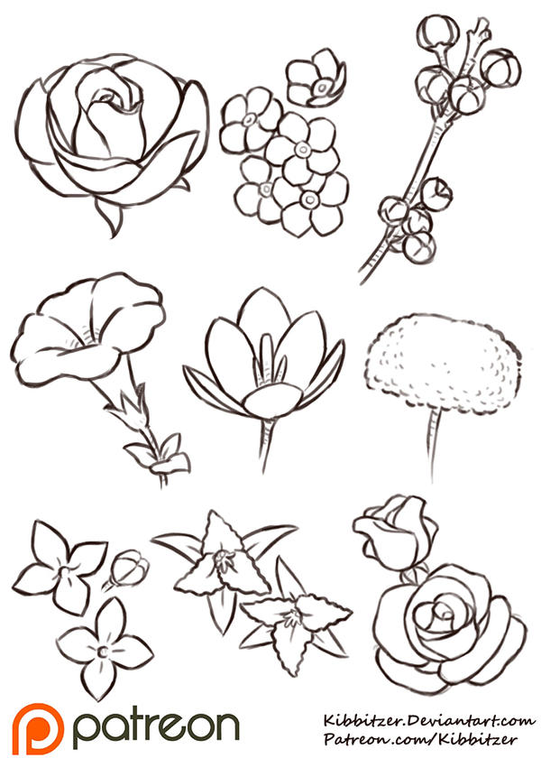 Flowers Reference Sheet by Kibbitzer on DeviantArt