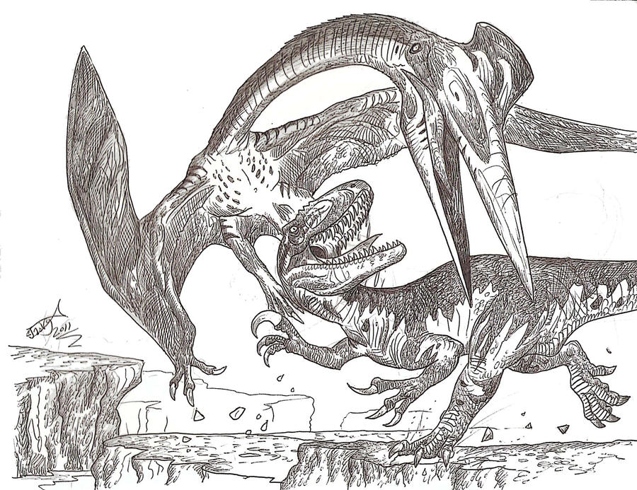 terror bird vs utah raptor coloring pages - photo #39